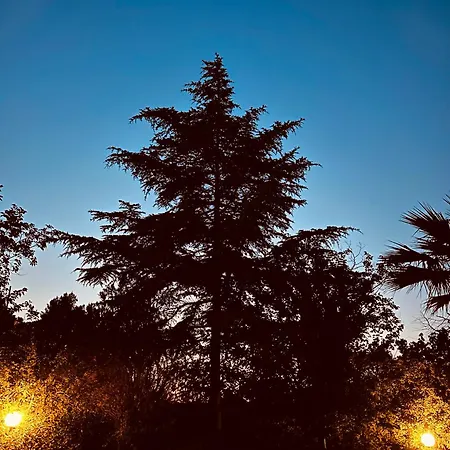 Sophies Olive Haven Διαμέρισμα *