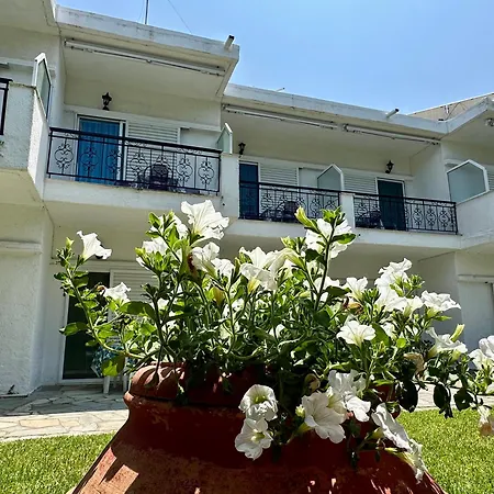 Sophies Olive Haven *