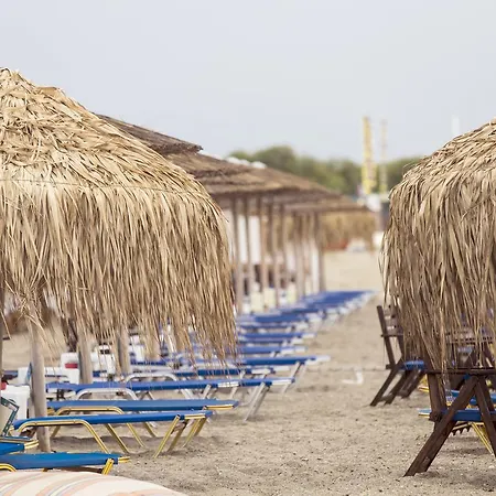 Sophies Olive Haven *