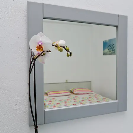 Apartment Bianca Studios