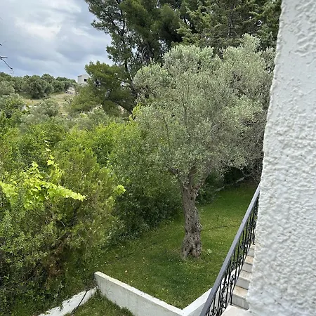 Sophies Olive Haven דירה