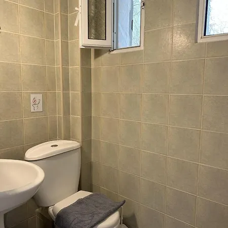 Sophies Olive Haven Posidi