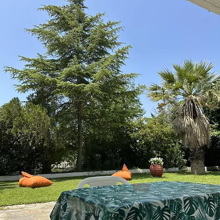 Sophies Olive Haven דירה