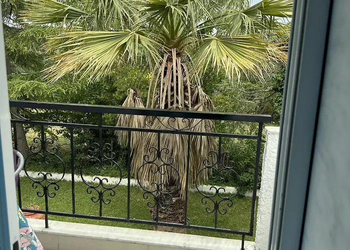 公寓 Sophies Olive Haven *