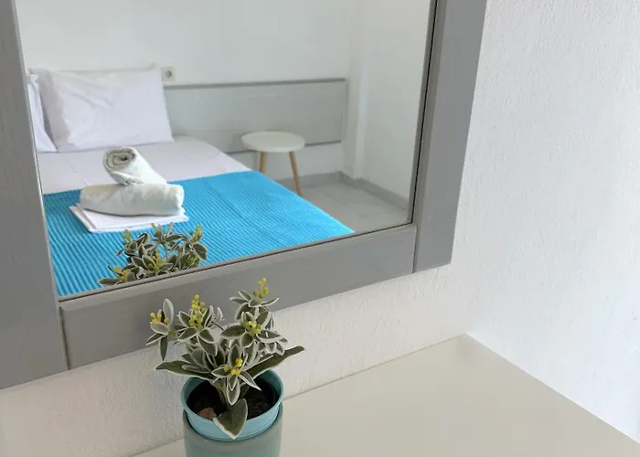 Sophies Olive Haven * 波塞蒂