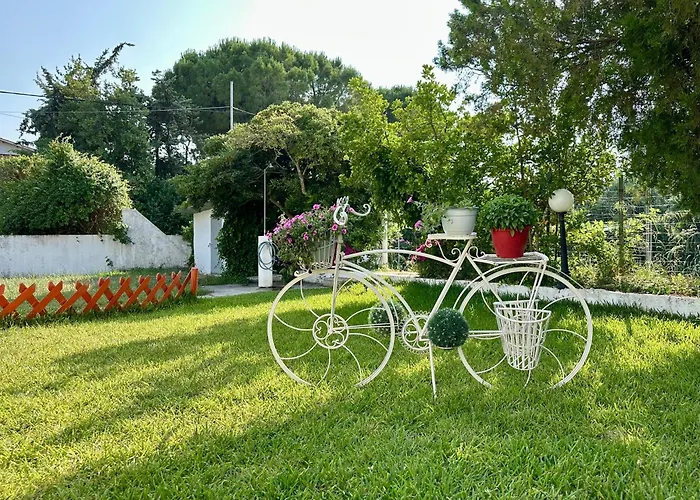 Sophies Olive Haven 公寓 波塞蒂