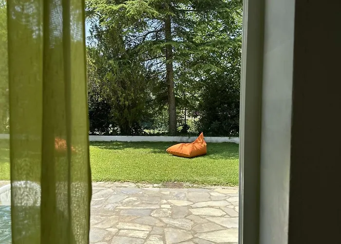 Sophies Olive Haven * 波塞蒂