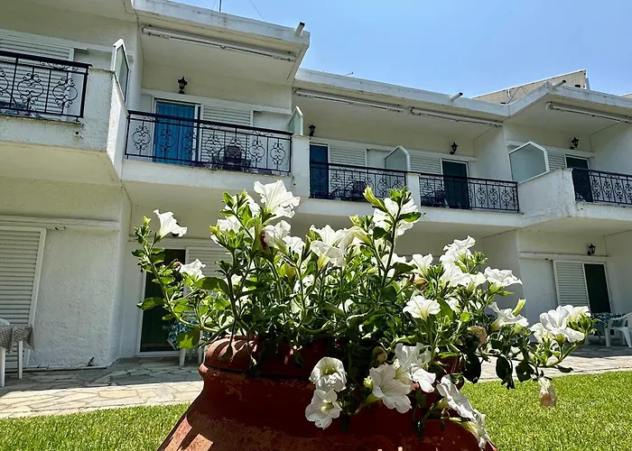 Sophies Olive Haven *