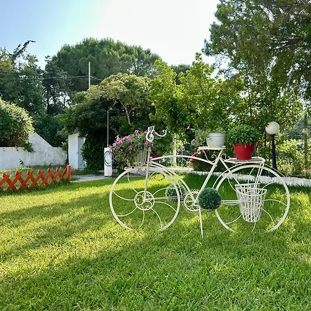 Sophies Olive Haven Апартаменты Посиди