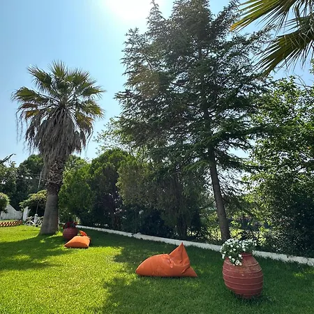 Sophies Olive Haven Посиди