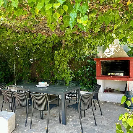 Sophies Olive Haven Possidi