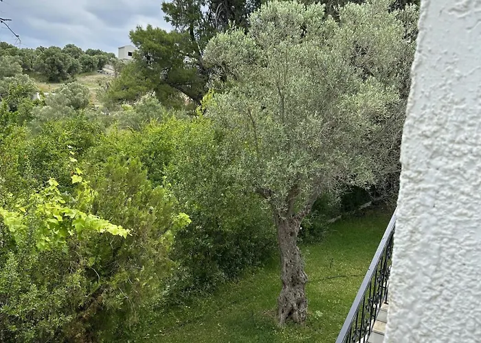 Sophies Olive Haven Appartamento