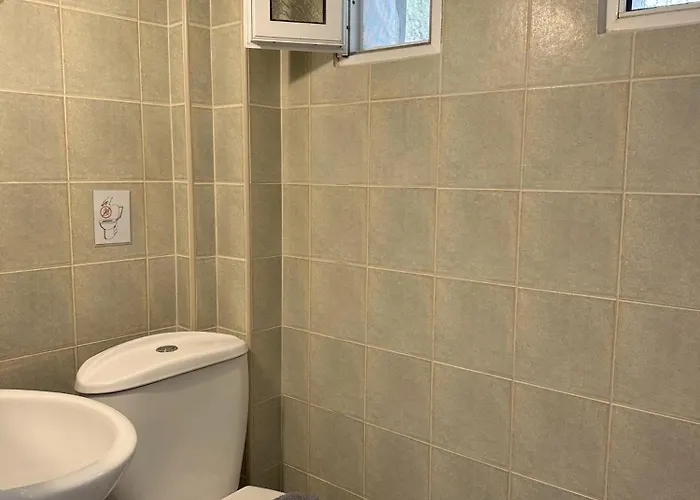 Sophies Olive Haven Possidi