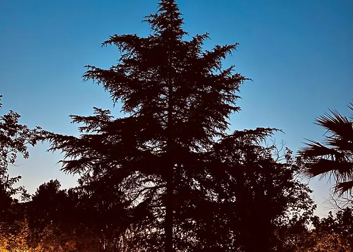 Sophies Olive Haven Appartamento *