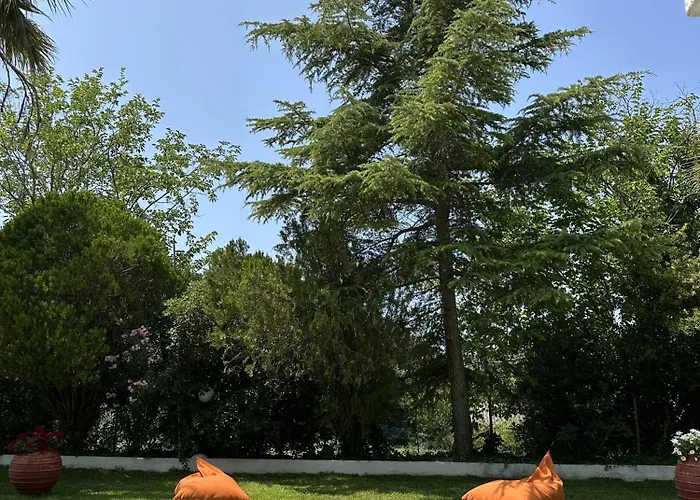 Appartamento Sophies Olive Haven *