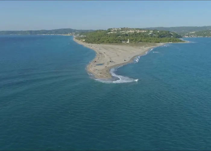 Sophies Olive Haven Possidi